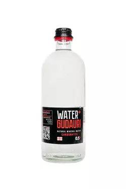 Вода мінеральна природна газована Water+GUDAURI 0,5 л