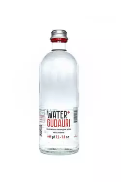 Вода мінеральна природна не газована Water+GUDAURI 0,5 л