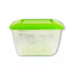 Контейнер харчовий, ємність 1,0 л «Plastic's Craft» Прозорий зелений